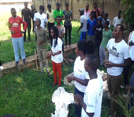 One Health Green Project