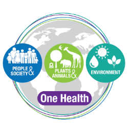 Faculty Forum:  "What One Health Means to Me"