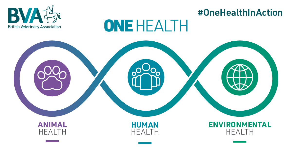 BVA One Health in Action report launch