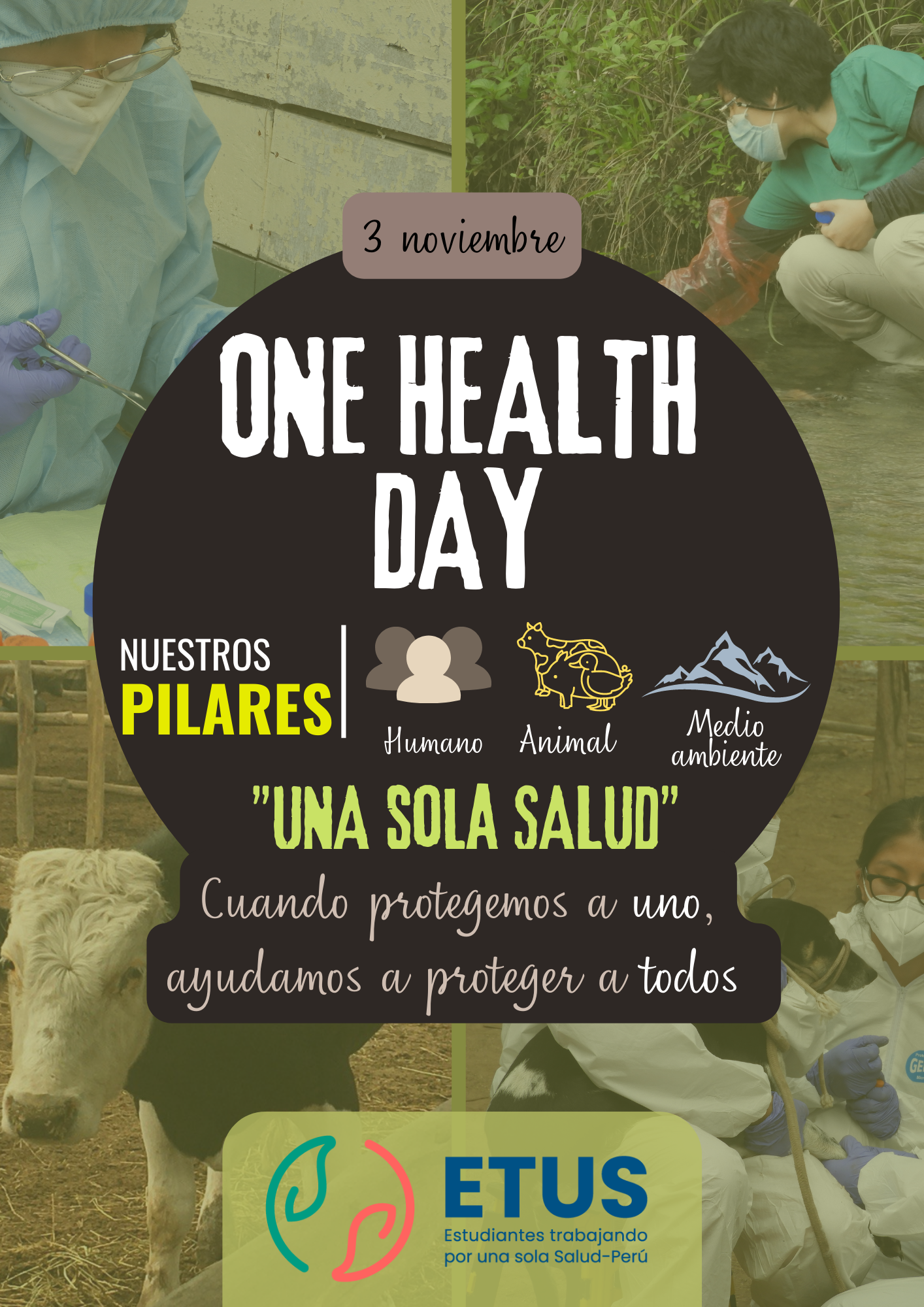 Socialization of the One Health Concept in the school and university community