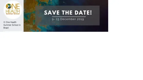 One Health Summer School in Brazil :And now?……Vectors, emerging diseases and antimicrobial resistance!!!!!