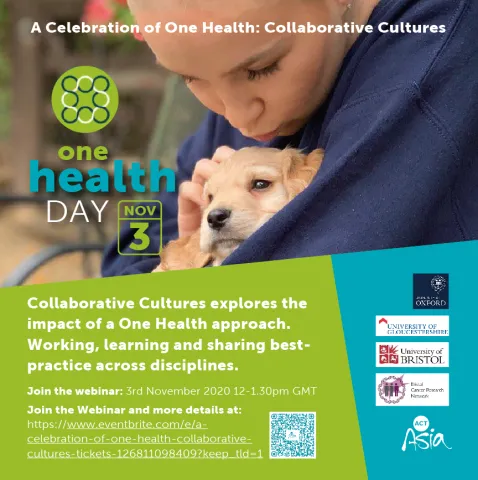 A Celebration of One Health: Collaborative Cultures