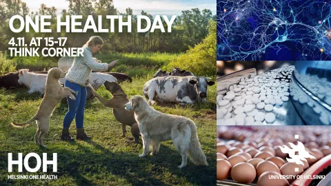 One Health Day at Think Corner