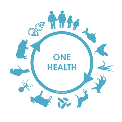 Why we need a One Health approach for the surveillance of drug-resistant bacteria