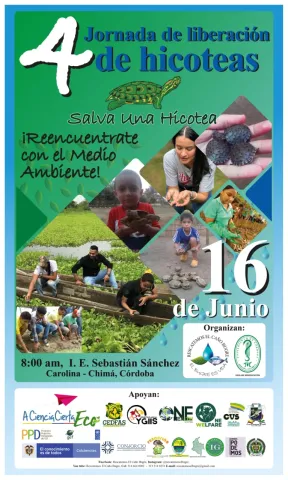 4ta JORNADA DE LIBERACIÓN DE HICOTEAS