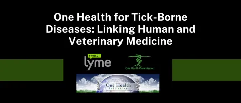  One Health for Tick-Borne Diseases: Linking Human and Veterinary Medicine