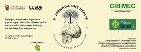 First dissemination session One Health, from Different Perspectives