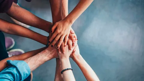 1st Post-graduate course on One Health - Human health, Animal health, Environmental health