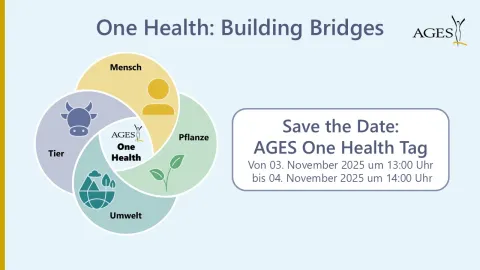 One Health: Building Bridges