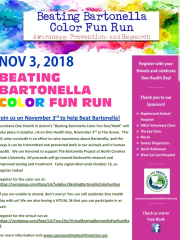 Beating Bartonella Color Run