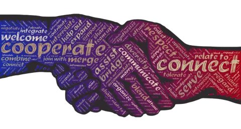 Synergizing One Health Collaborations