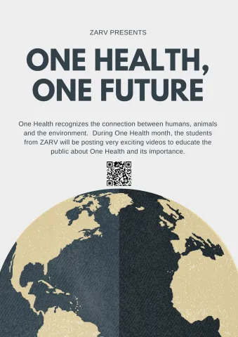 One Health, One Future Online Lessons, U Pretoria