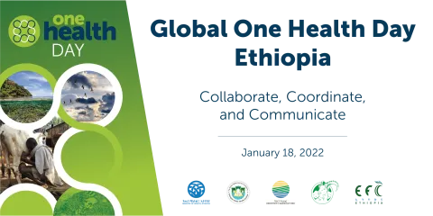 Commemoration Event for the Global One Health Day in Ethiopia